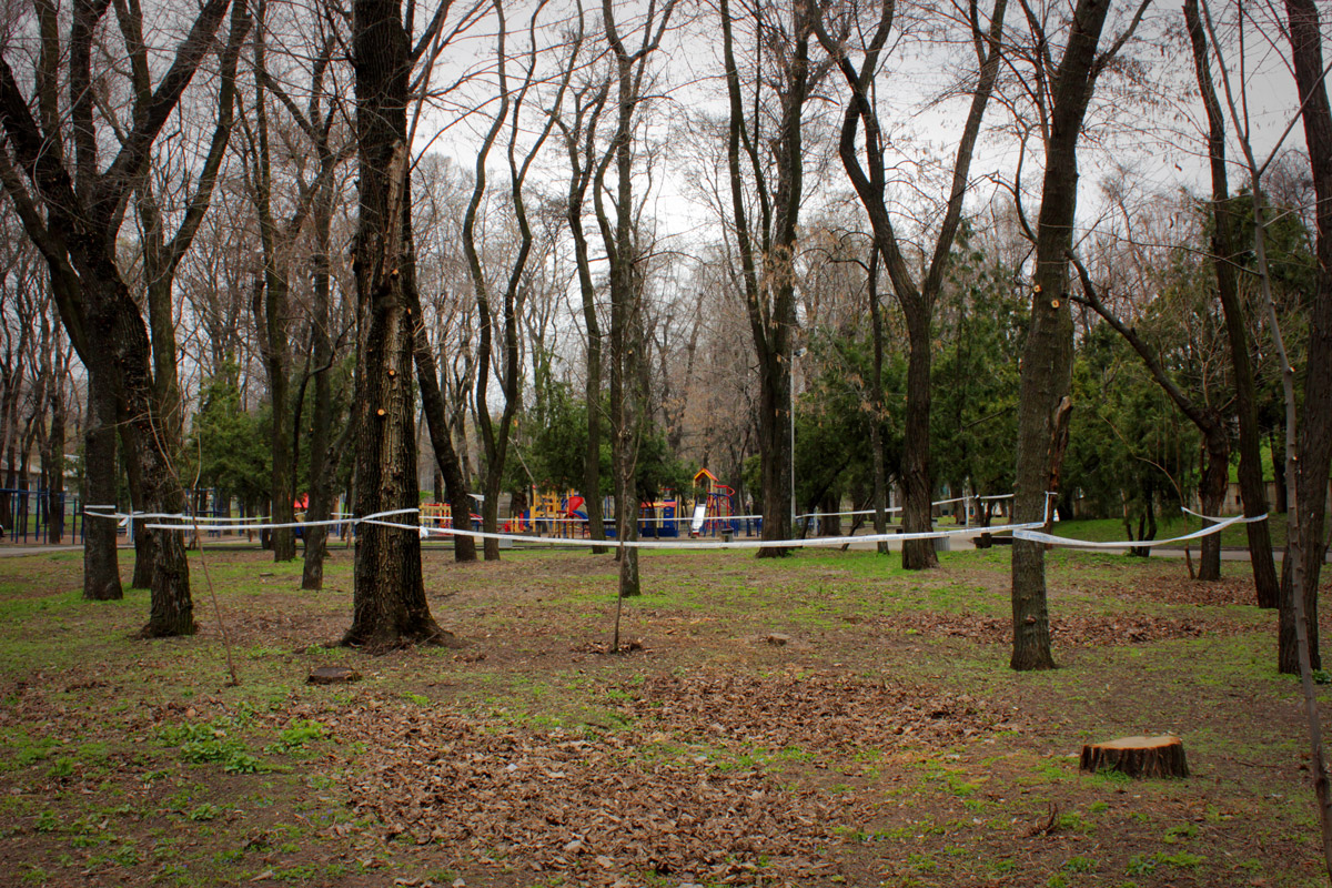 Череда удач: как блогер и снимки Люфтваффе помогли найти могилу Александра Поля