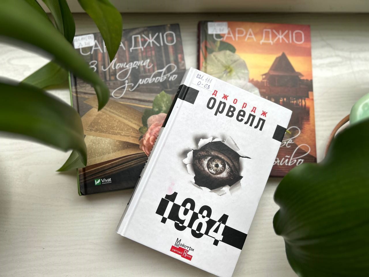 Від Орвелла до коміксів: що читає Дніпро?